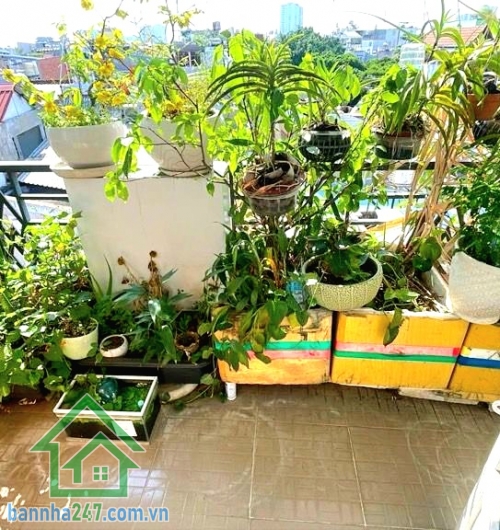 CHỈ 4.8 TỶ – SIÊU PHẨM 5 TẦNG BTCT – NGAY NGÃ TƯ BẢY HIỀN – HẺM THÔNG - 3 PN – 3WC Vị trí cực đẹp ngay khu Bảy Hiền – Đồng Đen – Bàu Cát Khu vực sầm uất, tiện ích bủa vây, di chuyển cực nhanh qua Tân Bình, Quận 10, Phú Nhuận 